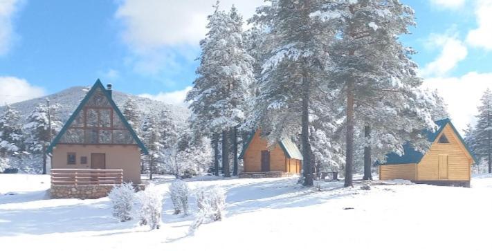 Chalet Cilac Žabljak Εξωτερικό φωτογραφία
